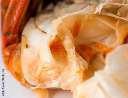 Close-up of tongs of seafood hairy crab