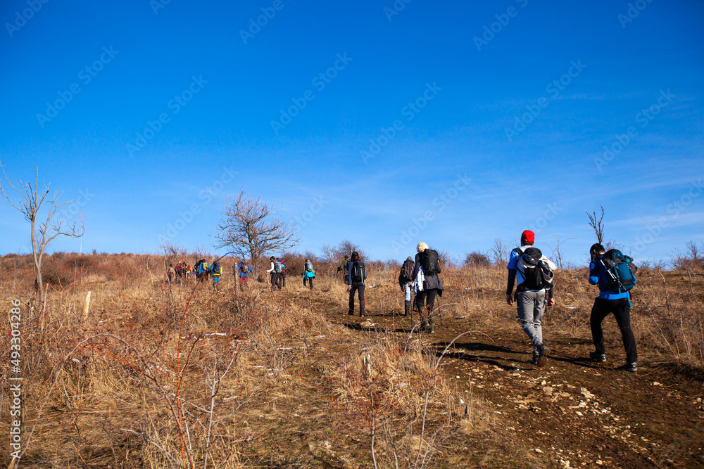 Group of active people hiking on winters trail. Rear view. Clear blue sky. Winter adventure journey. Winter nature landscape. Healthy lifestyle.	