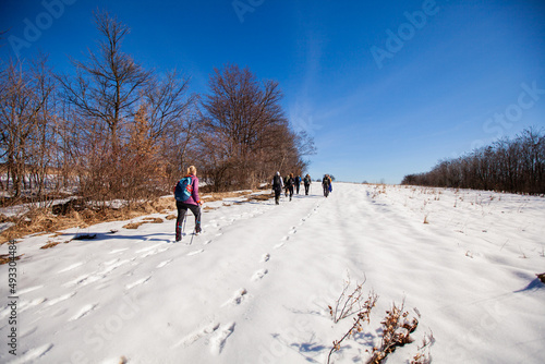 Group of active people hiking on winters trail. Rear view. Rural road covered by snow. Winter adventure journey. Winter nature landscape. Healthy lifestyle. 