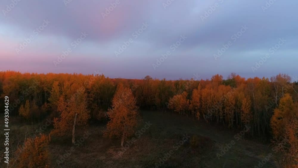 Early morning view over an autumn forest as it reflects the first light of the day. Early morning view over an autumn forest as it reflects the first light of the day.