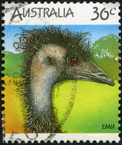 AUSTRALIA - 1986: shows Emu, Wildlife, 1986 photo