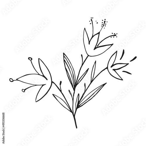 Hand drawn flower and branches doodle  Vector illustration