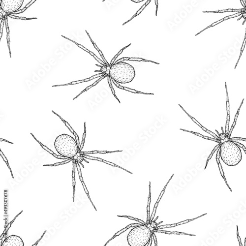 Seamless pattern of monochrome spiders illustration. Vector illustration template