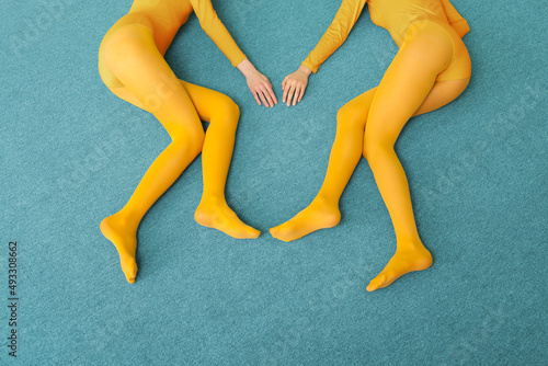 yellow legs photo