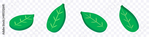Green leaves 3d. Tree leaf isometric set. Vector clipart isolated on white background.