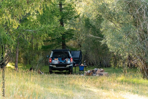 Pickup truck trunk camping photo