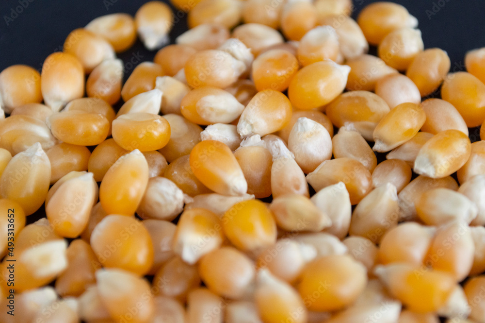maíz palolmitas alimento maíz palolmitas alimento
