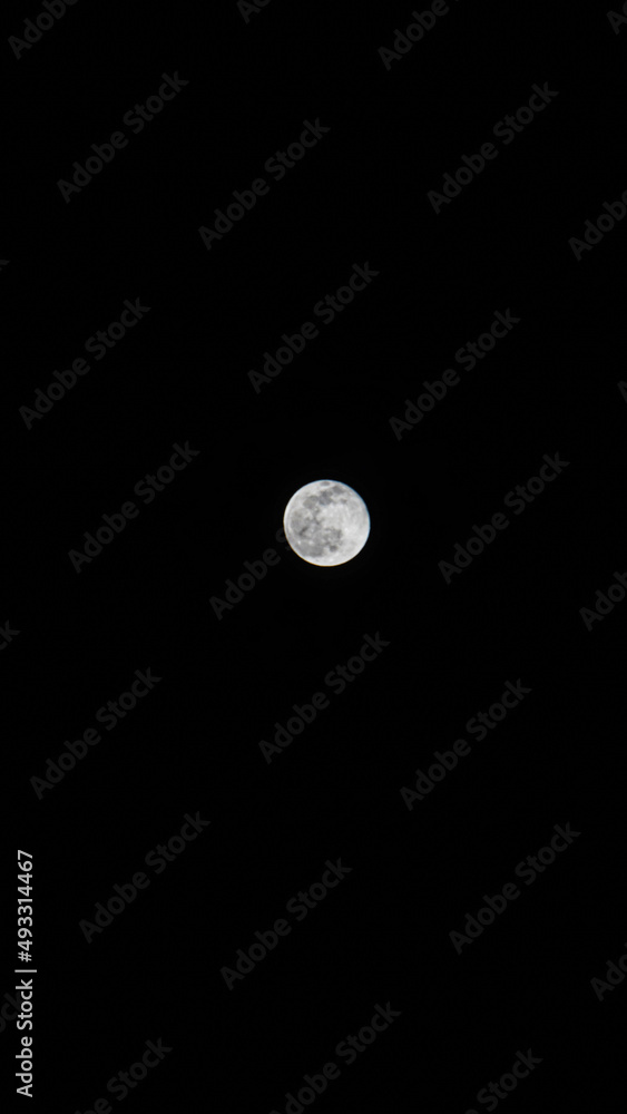 Beautiful large moon in the night sky Beautiful large moon in the night sky