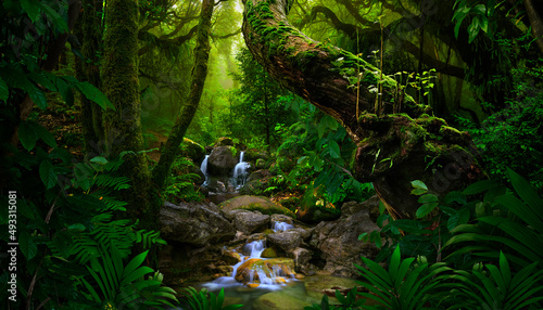 Fotografie, Obraz Tropical jungles  of Southeast Asia