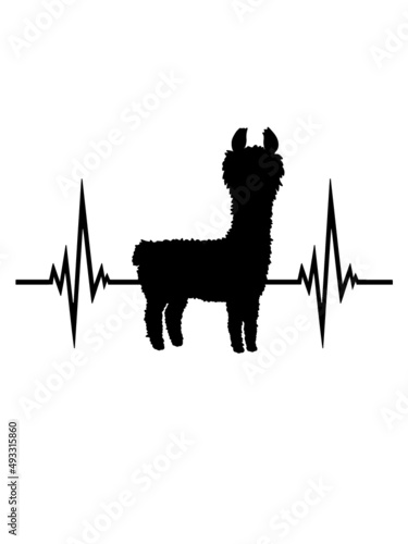 Puls Lama Herzschlag 