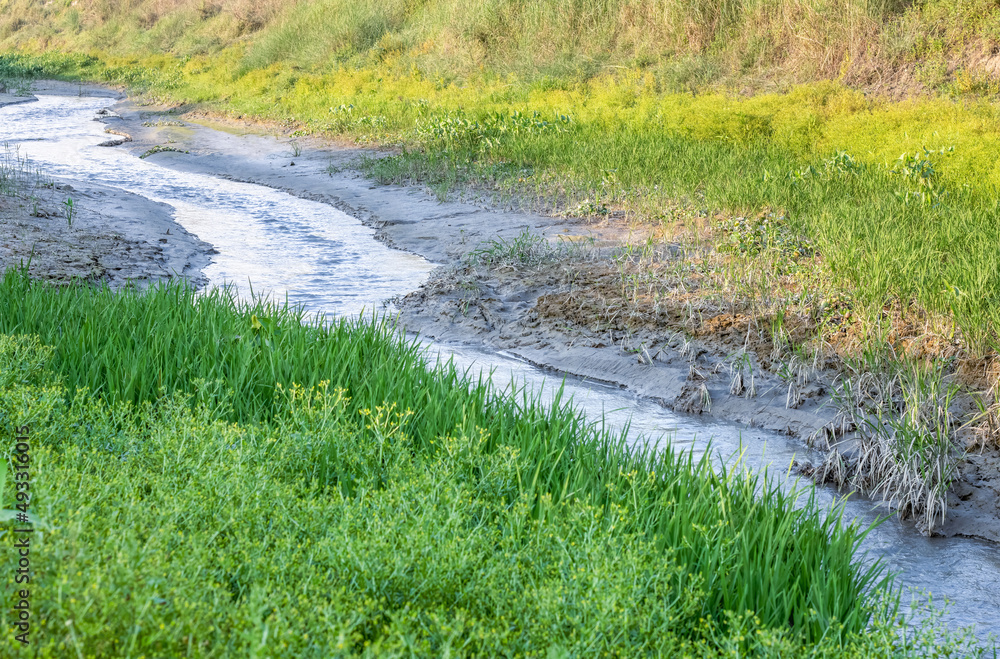 Passing water over an almost dried canal in the rural village beside the meadowland Passing water over an almost dried canal in the rural village beside the meadowland