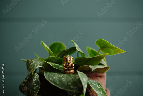 Ganesha in the Foliage photo