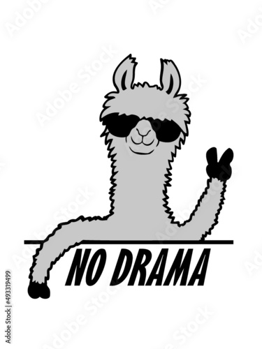 No Drama Lama 
