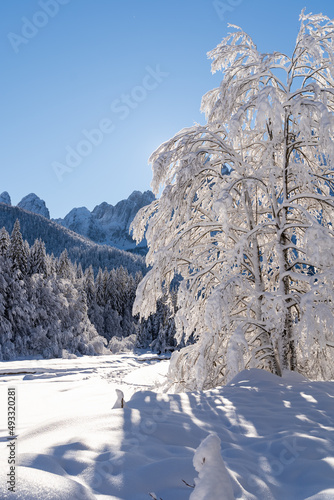 Wallpaper Mural Snowy landscape Torontodigital.ca