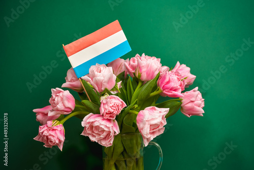 Bouquet of tulips and the flag of the Netherlands on a green background. photo