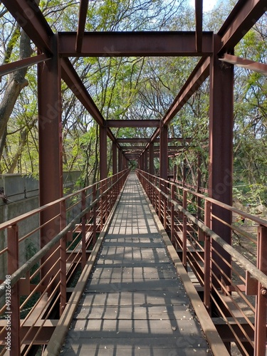 Fototapeta Naklejka Na Ścianę i Meble -  bridge in the forest