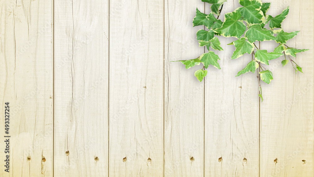 木目背景とグリーン Stock Photo Adobe Stock 木目背景とグリーン Stock Photo Adobe Stock