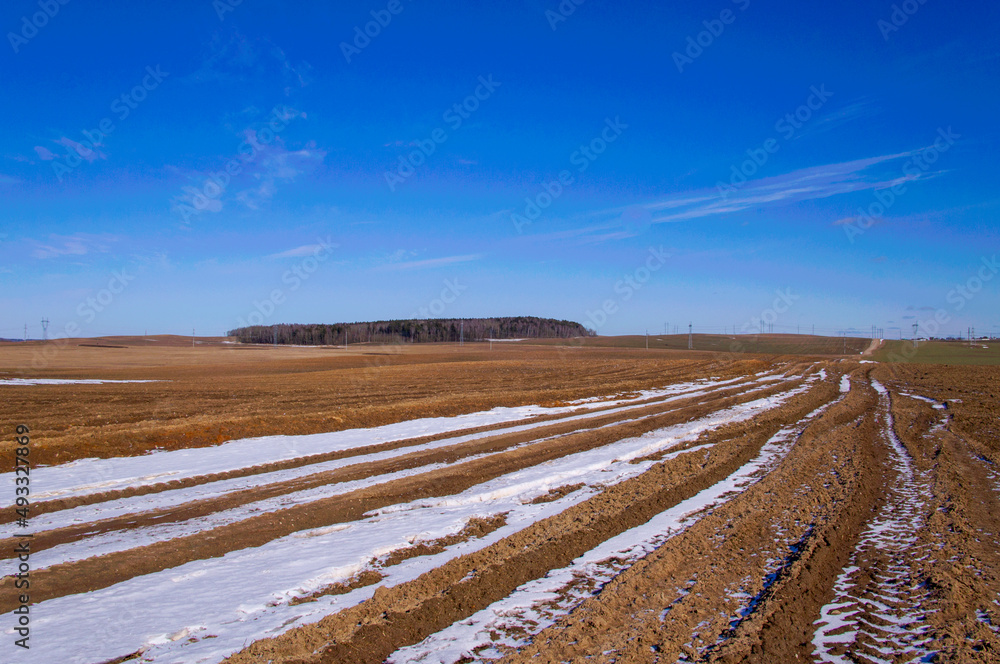 Rural landscape with a road in the fields in spring with a blue sky