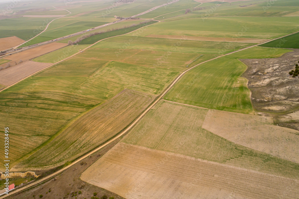 Rural track between fields of cereal crops, as seen from a drone.