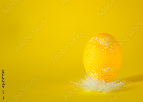 yellow easter egg