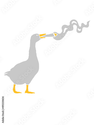 Joint Kiffer Gans 