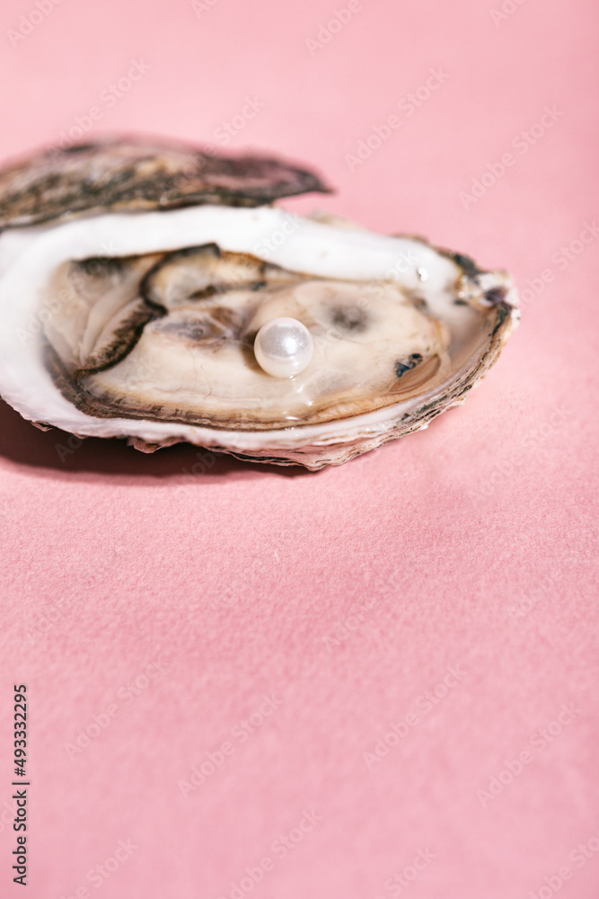 Oyster On Pink Background With Pearl Oyster On Pink Background With Pearl