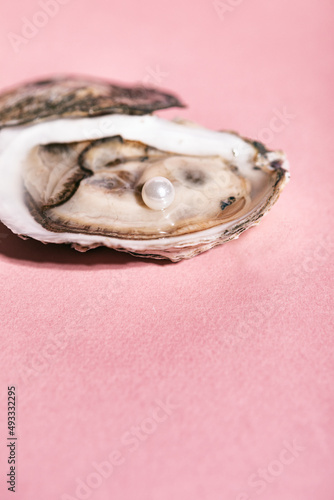 Oyster On Pink Background With Pearl photo