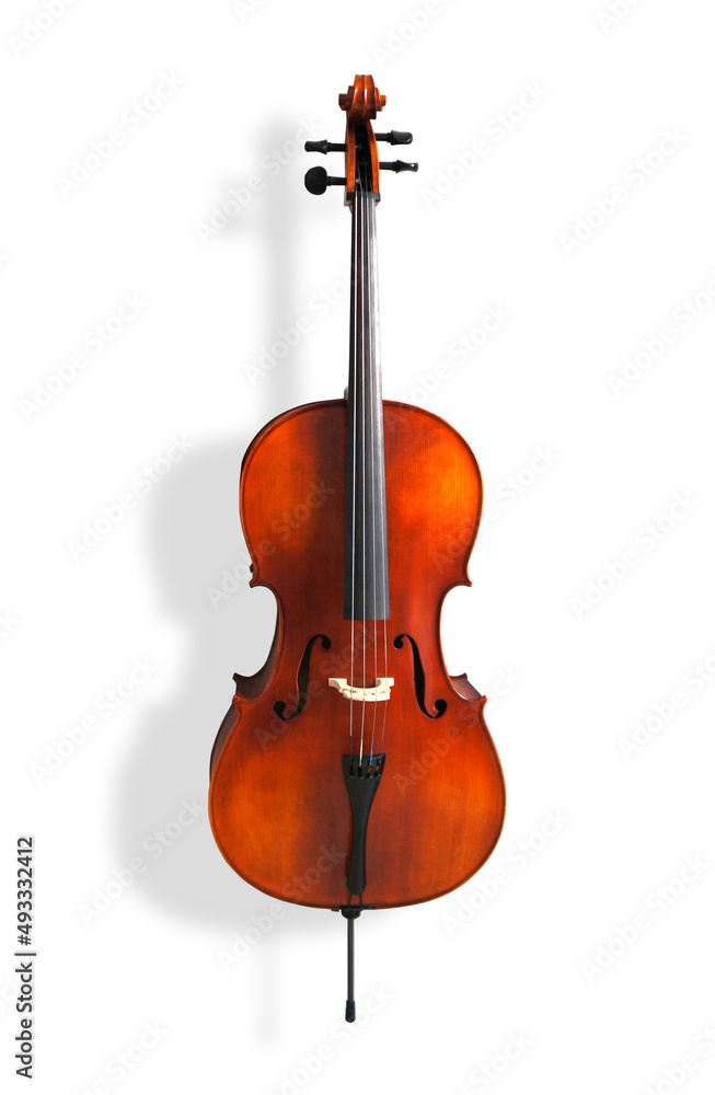 Obraz premium Cello string music instrument isolated on white