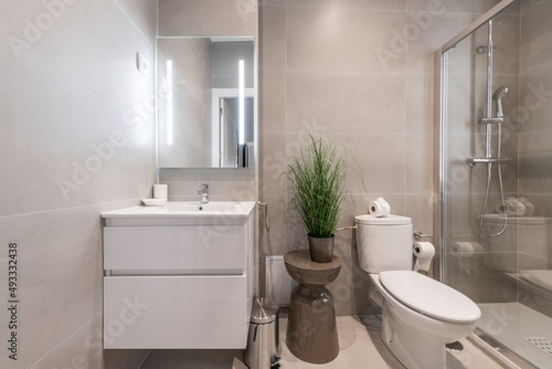 Tiled toilet with large gray tiles  plant on wooden stool and cabinet with white porcelain sink with frameless mirror  shower stall with glass partition and soap dish