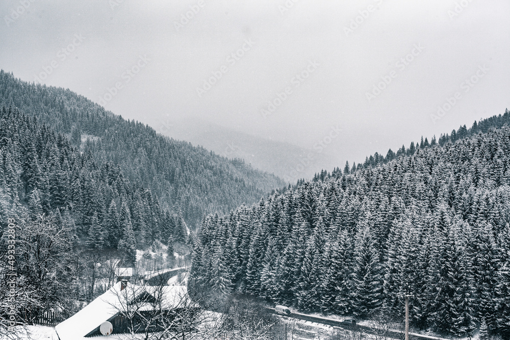 Fototapeta premium snow-capped mountains, snow, forest, сhristmas trees, winter skyline