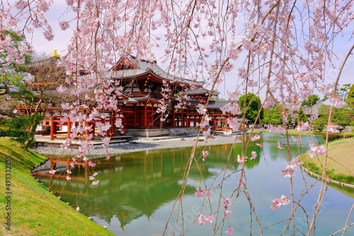 The Historically Splendor  Cherry Blossom 