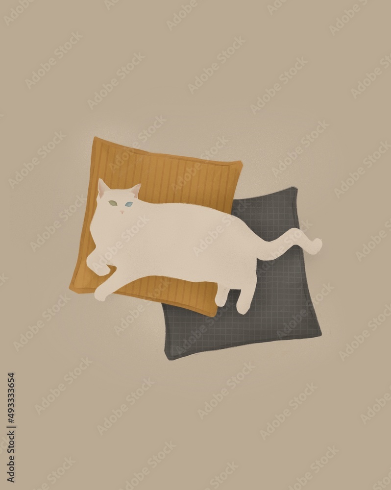 Illustration of a beautiful white cat Illustration of a beautiful white cat