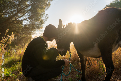 Portrait of happy man caressing donkey in nature