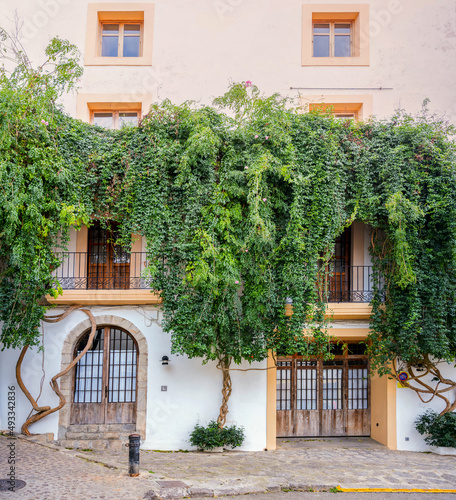 Facade Of A House With A Climbing Plant.