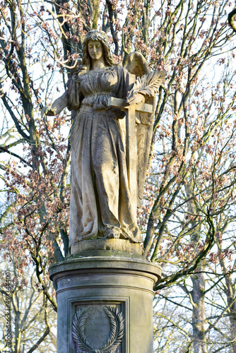 Sibirischer Blaustern in Lindener Berg.Hannover,Deutschland. photo