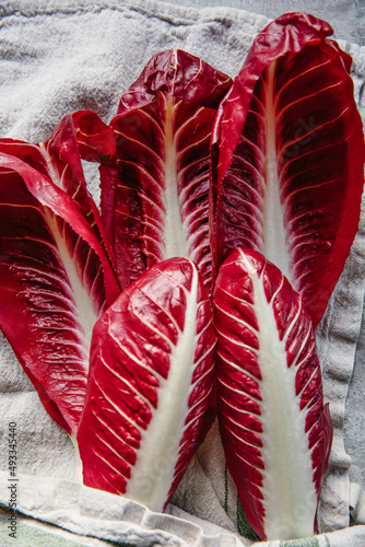 Radicchio photo