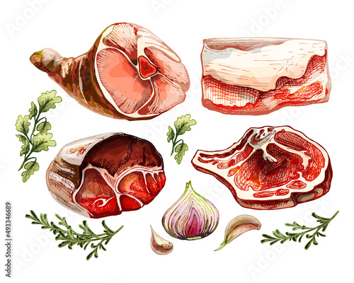 618_meat and spices Meat fresh steaks deli meats set. barbecue meat steak, homemade bacon, bacon fillet, pork belly, beef shank vector onion, cilantro, rosemary