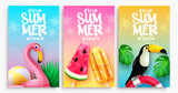 Summer vector poster set design. It's summer time text in colorful background with flamingo, toucan and popsicles elements for tropical season collection. Vector illustration. 