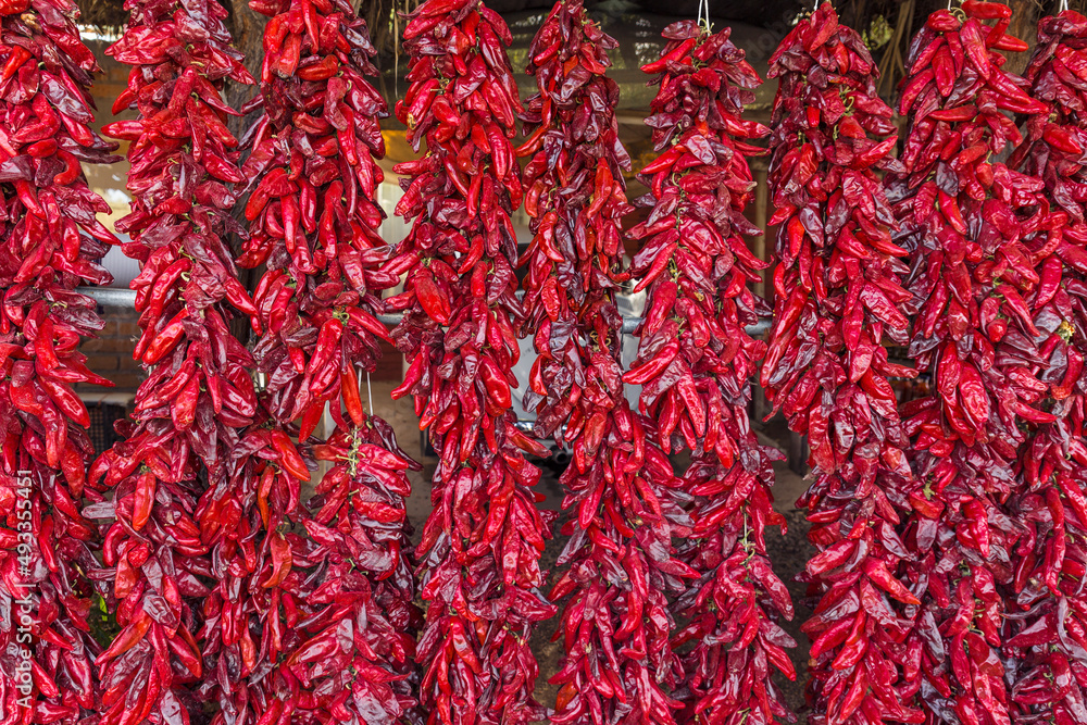 Red chillies hanging to dry in the sun
Red chillies hanging to dry in the sun