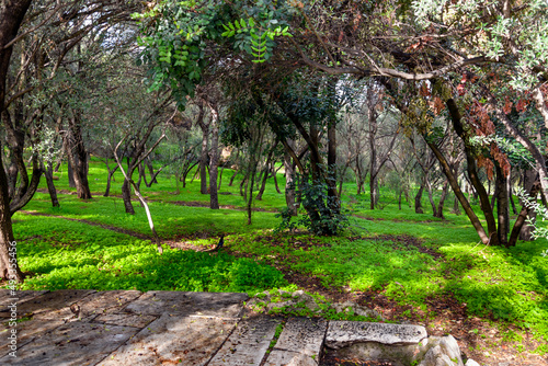 The shaded stone walking path and trail up Philopappos Hill towards the monument in the historic center of Athens, Greece. photo