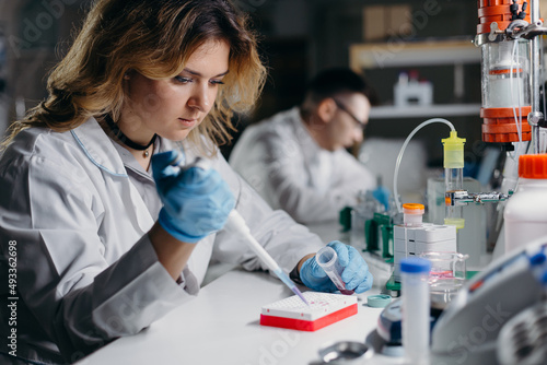 Biologist preparing samples for scientific research photo