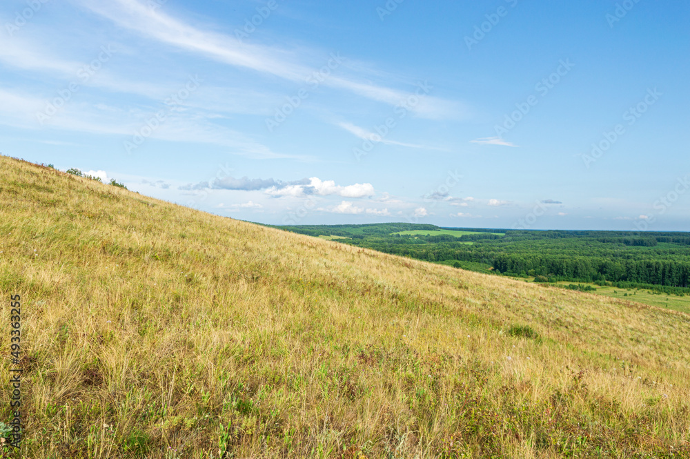 Yellow Hill, Green Forest, and blue Sky