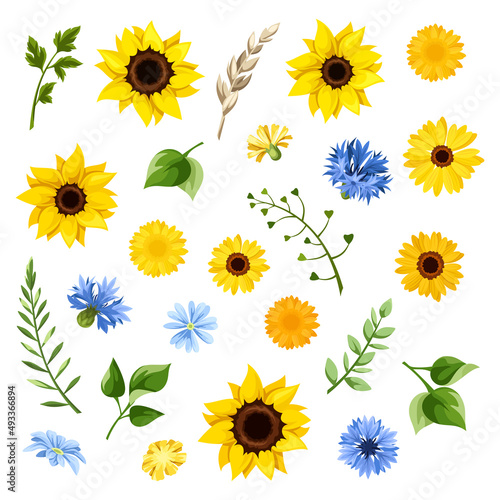 Fototapeta Naklejka Na Ścianę i Meble -  Set of blue and yellow sunflowers, dandelion flowers, cornflowers, gerbera flowers, and green leaves isolated on a white background