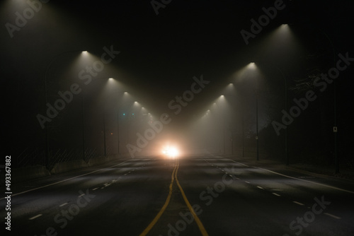 Lights in the Darkness and Fog photo