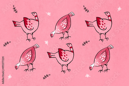 Freerange chickens illustration photo