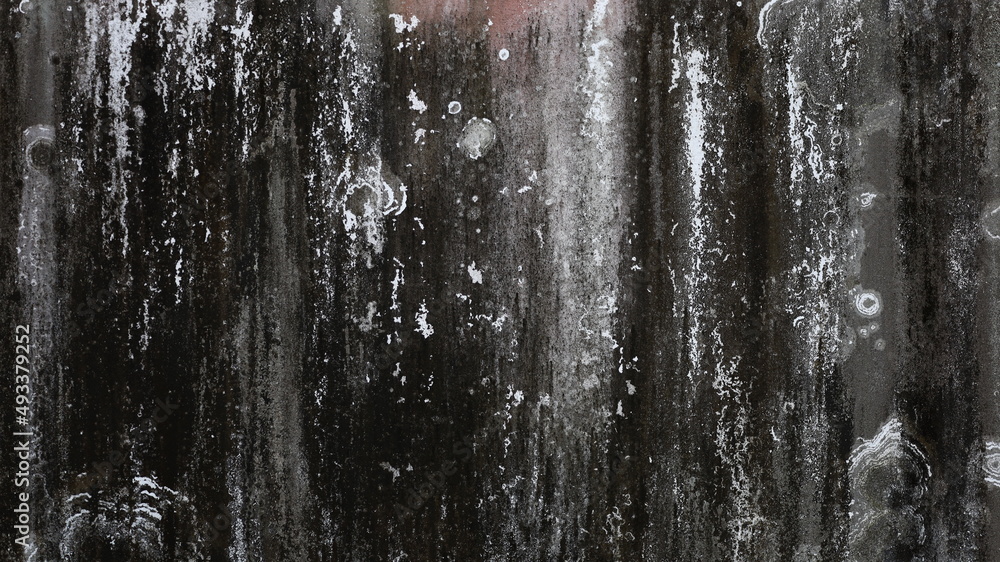 Black moldy wall background. Textures and black mold stains on a leaking concrete wall with copy space. Selective focus