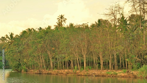 Beautiful landscape view from river above Thiruparappu falls. Amazing natural background with colour effects. Weekend gateway or picnic spot in kanyakumari District, Tamilnadu, India photo