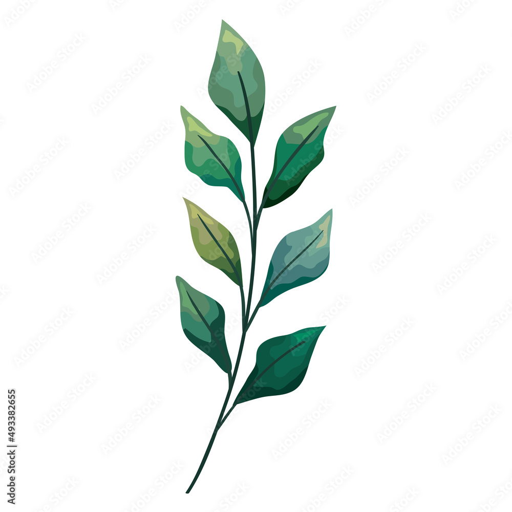 branch with leafs branch with leafs