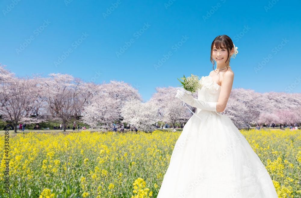 ブライダル イメージ 桜と菜の花 ブライダル イメージ 桜と菜の花