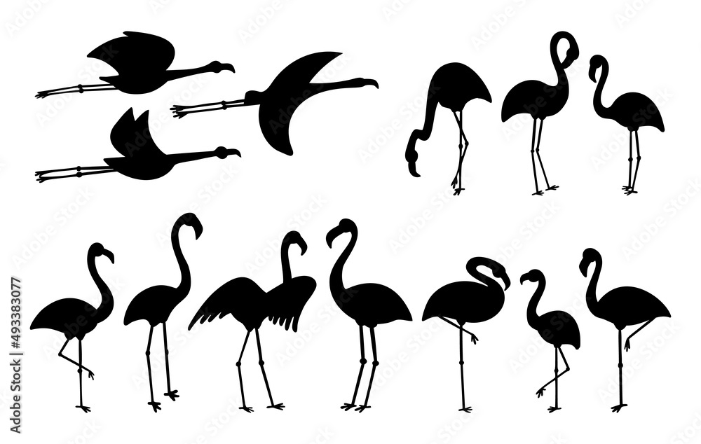 Flamingo standing and flying cute pale pink and black clipart Flamingo standing and flying cute pale pink and black clipart